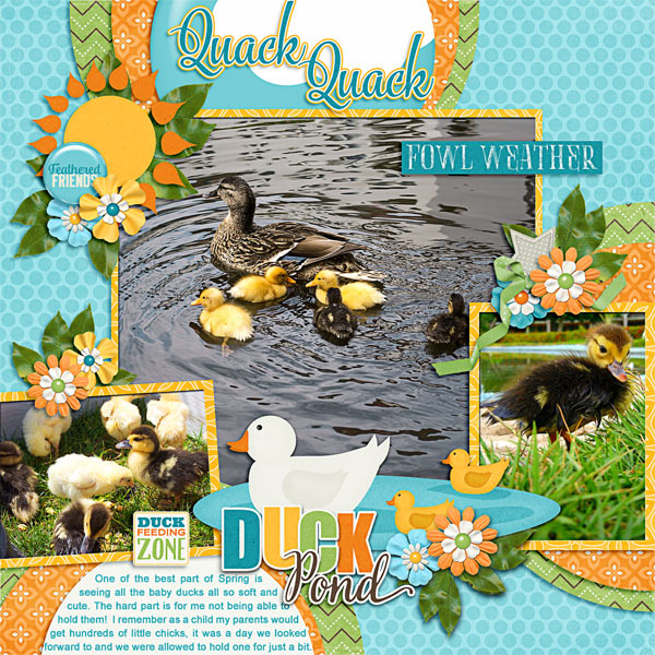 Quack Quack!