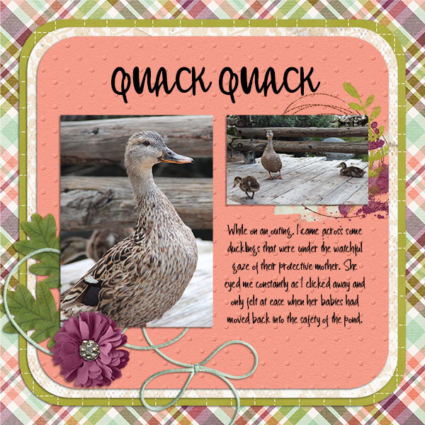 Quack Quack