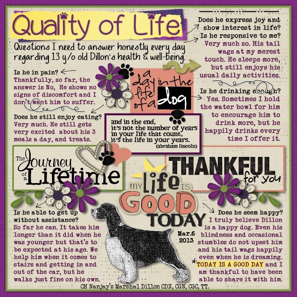 Quality of Life