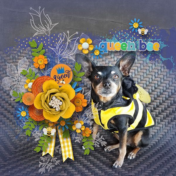 Queen Bee