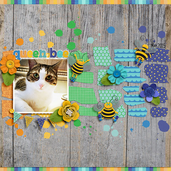 queen bee