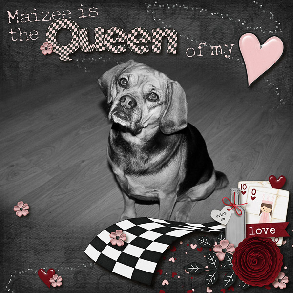 Queen of my Heart