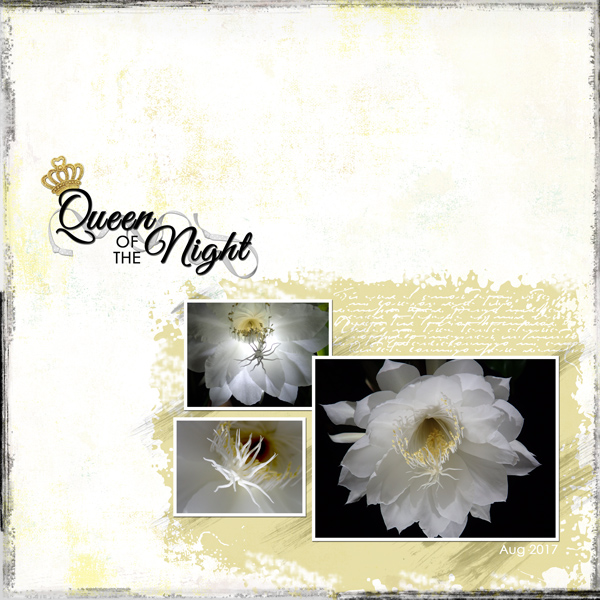 Queen of the Night