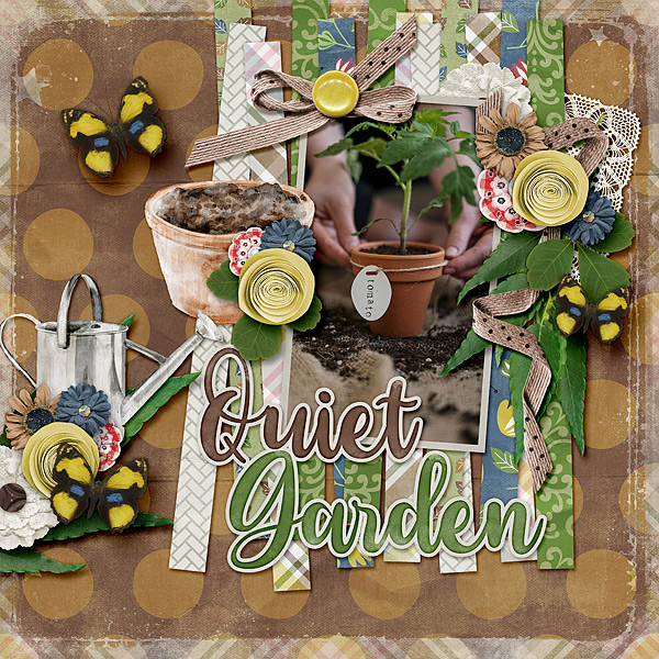 Quiet Garden