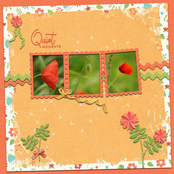 Quiet Moments
