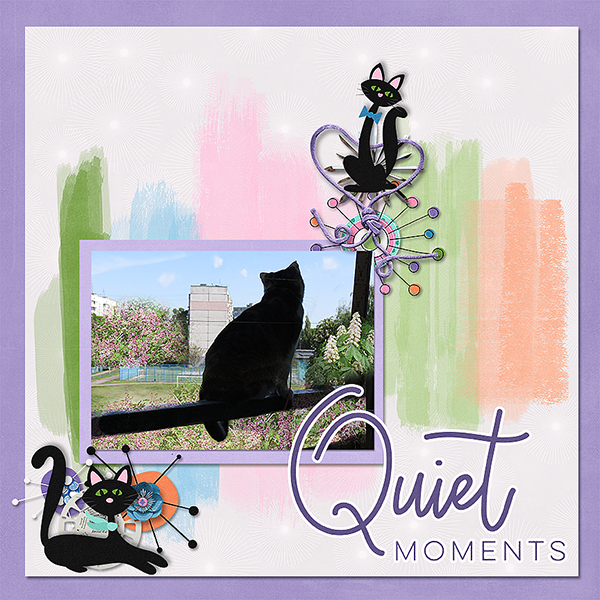 Quiet Moments