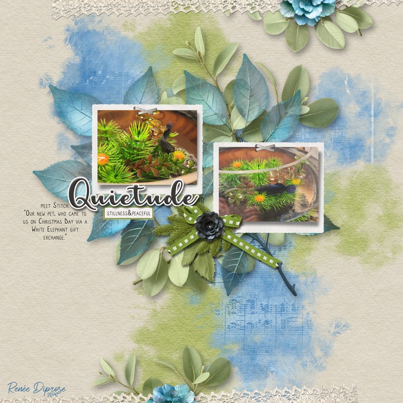 Quietude