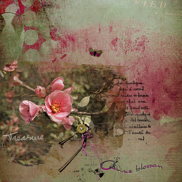 Quince Blossom