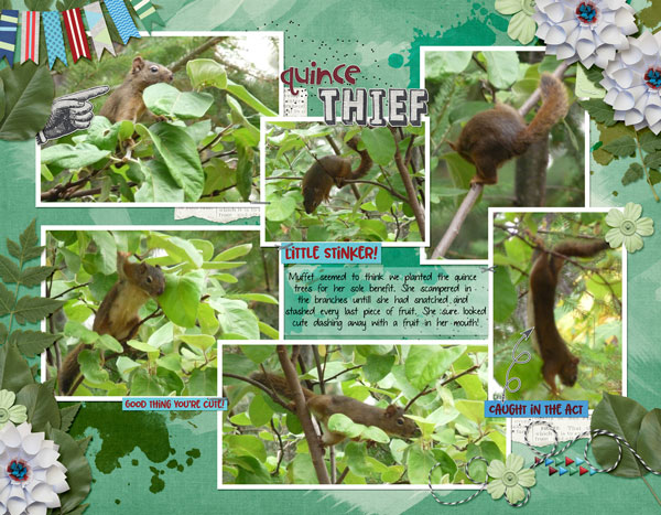 Quince Thief