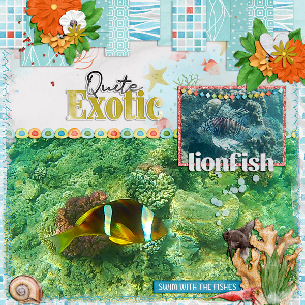 quite exotic