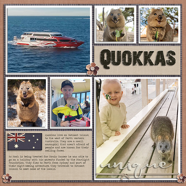 Quokkas