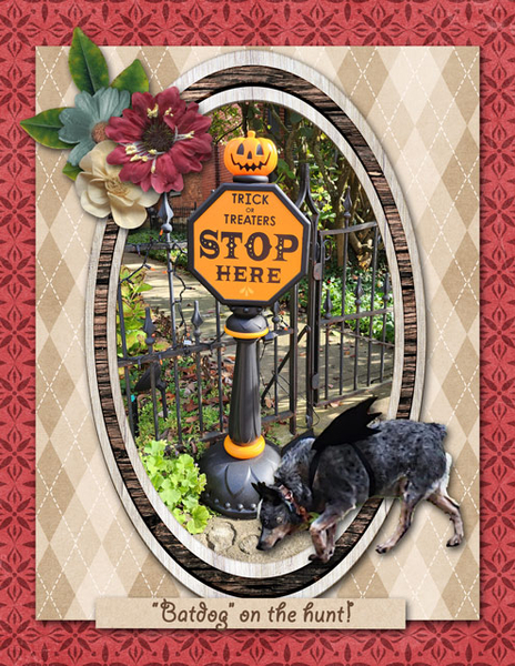 "Batdog" on the hunt!