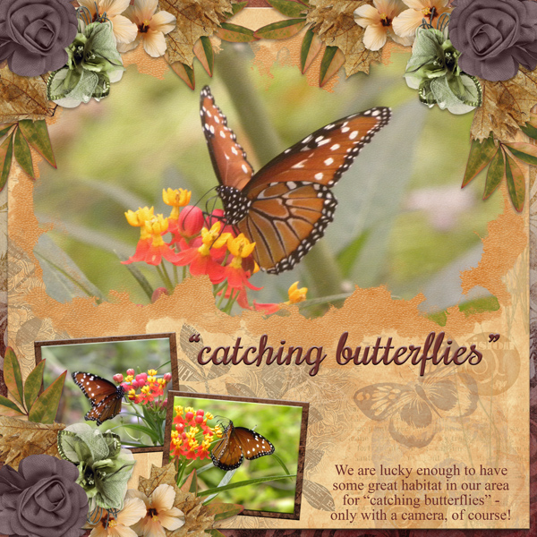 "catching butterflies"
