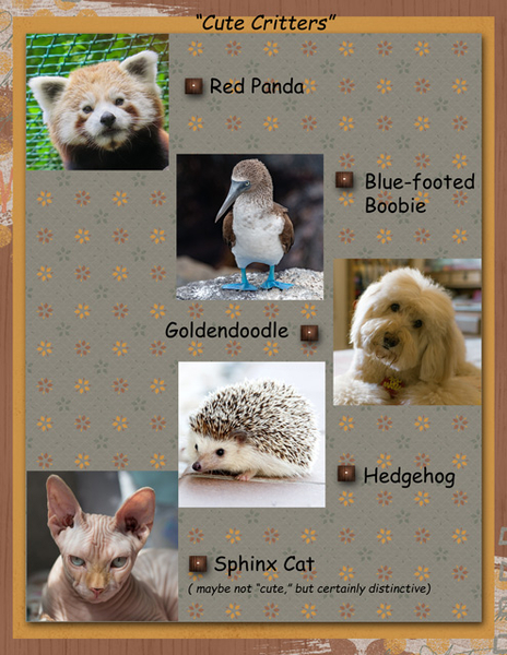"Cute Critters"