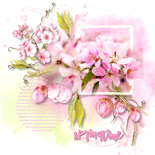 "Dew Kissed Blossom"