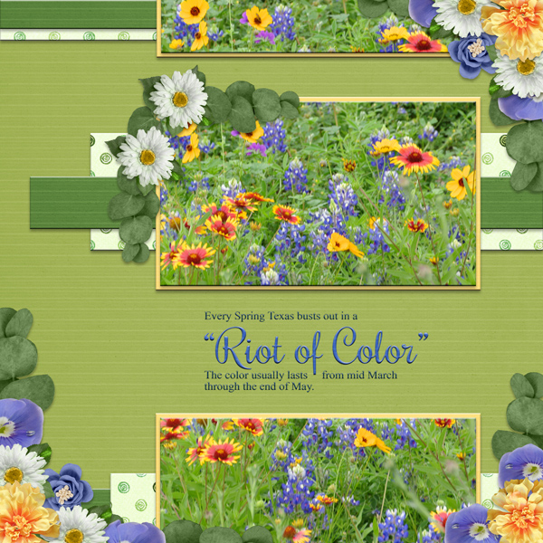 "Riot of Color"