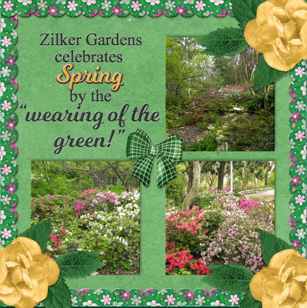 ... "wearing of the green!"