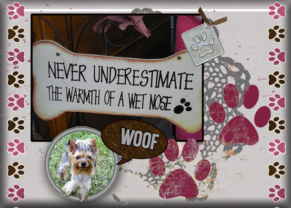 "Wet Nose"