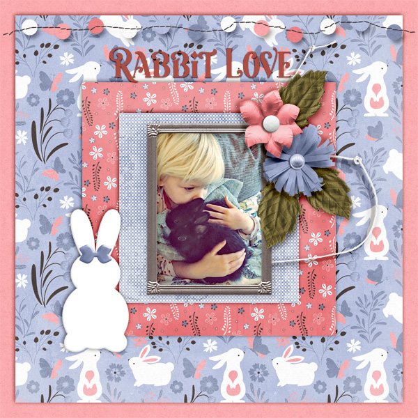 Rabbit-love.jpg