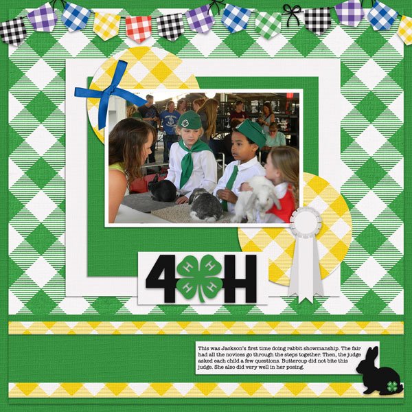 Rabbit Showmanship 2