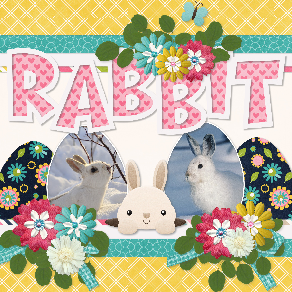 rabbit