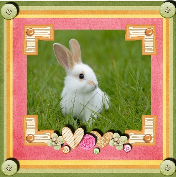 rabbit_