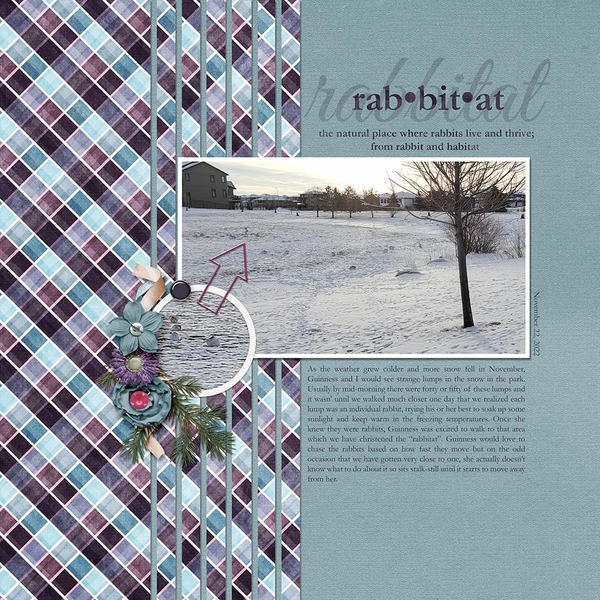 Rabbitat