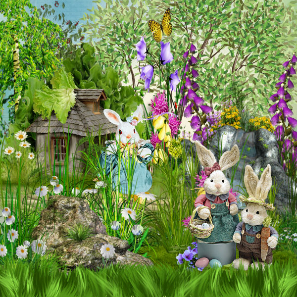rabbits land01