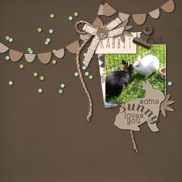 Rabbits