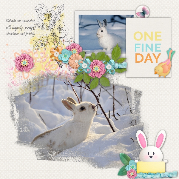 rabbits