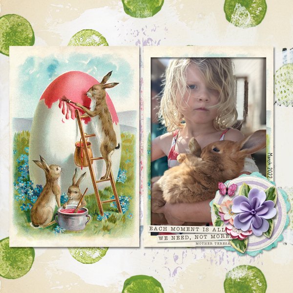 Rabbits