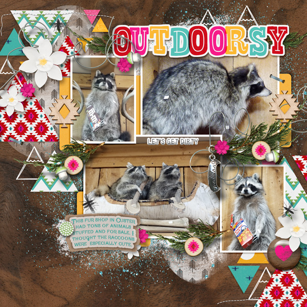 Raccoons