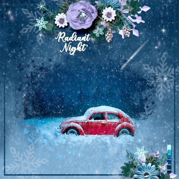 Radiant Night