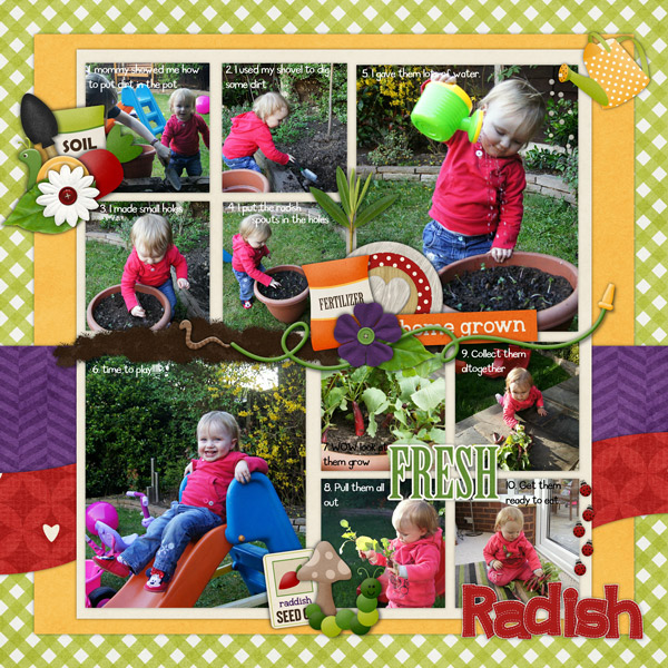 radish