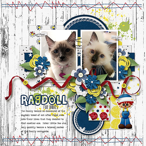 Ragdoll Fur Babies