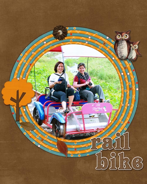 rail bike