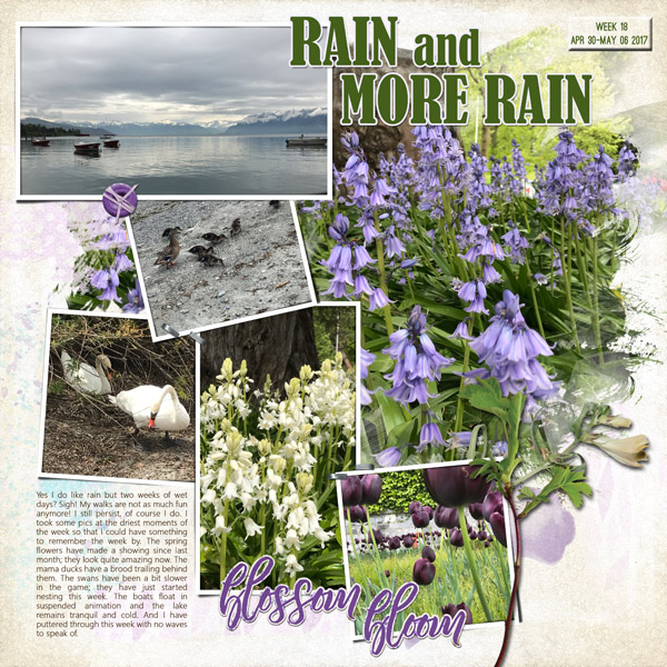 Rain and More Rain