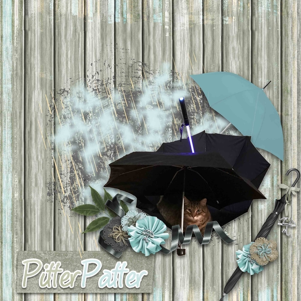 Rain Free Kitty