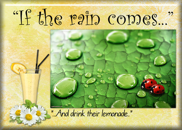 Rain