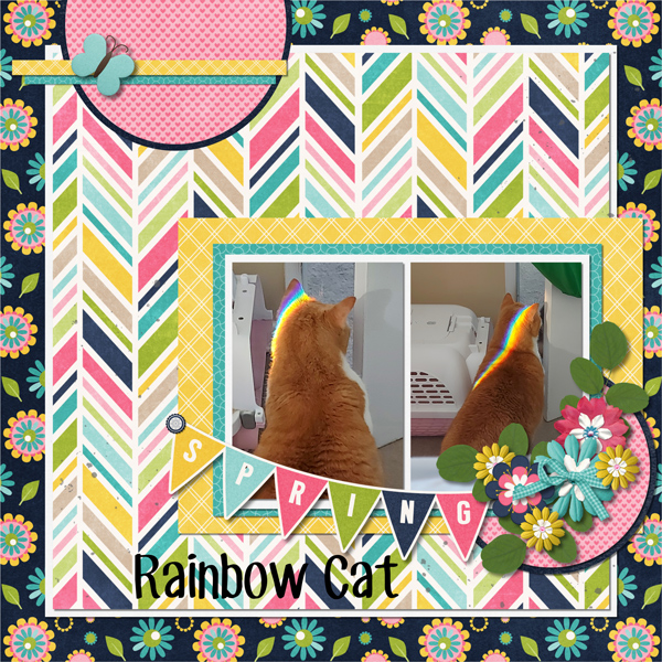 Rainbow Cat