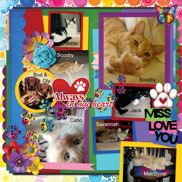 Rainbow-cschneider-HP322pg2.gif