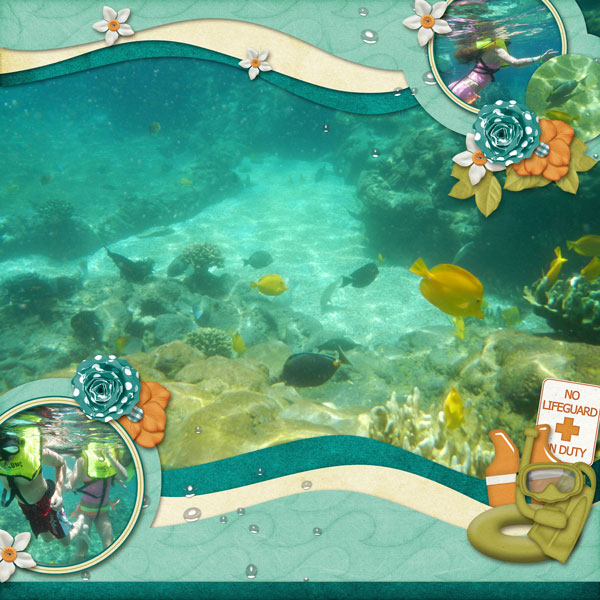 Rainbow-Reef