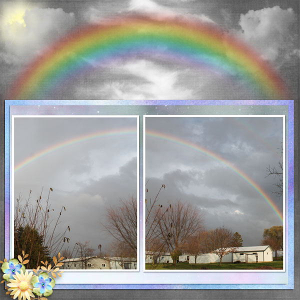Rainbow24