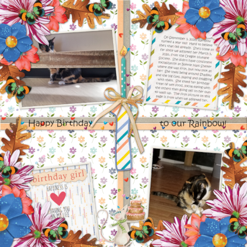 Rainbow's First Birthday Page 1