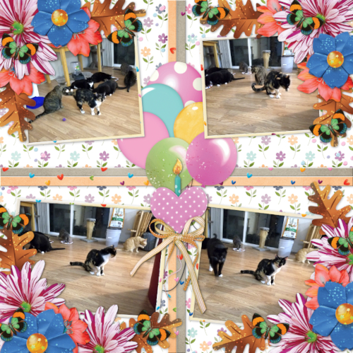 Rainbow's First Birthday Page 2