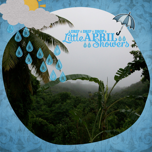 Raindrops in the Rainforest