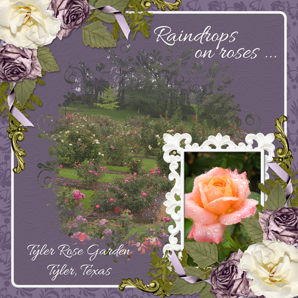 Raindrops on roses ...