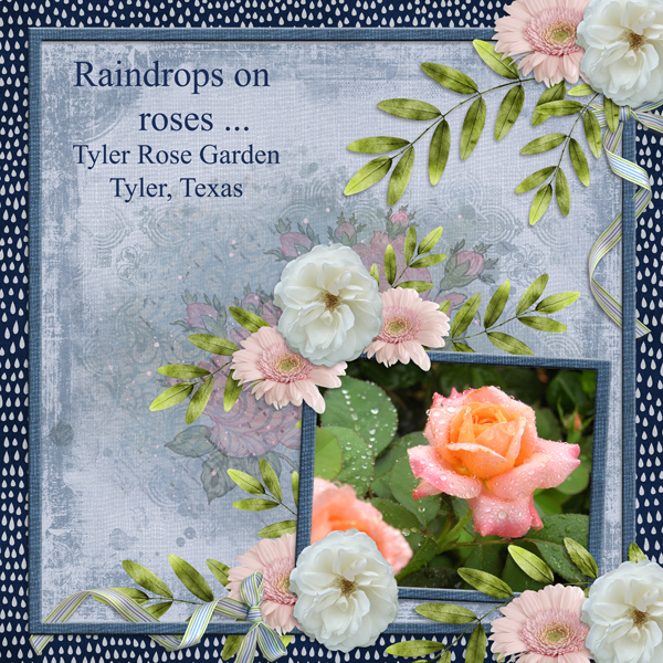 Raindrops on roses ...