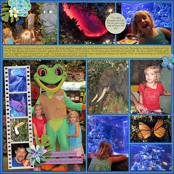 Rainforest Cafe 2