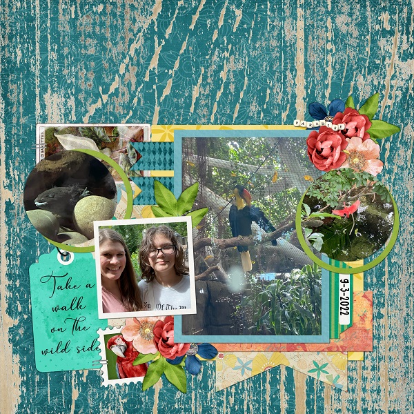 Rainforest Pyramid 2